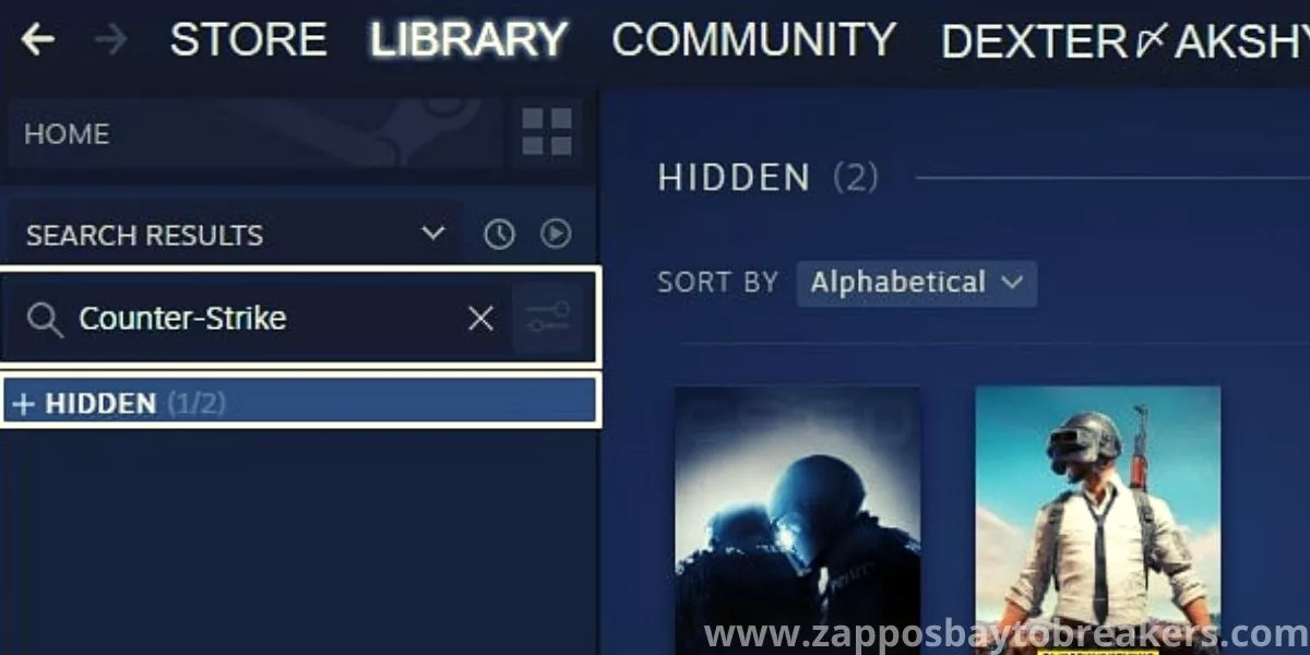 HOW TO SEE HIDDEN GAMES ON STEAM